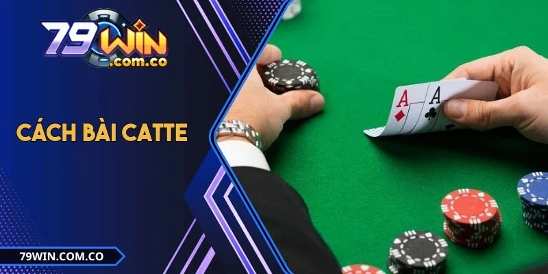 Cách Bài Catte Hiệu Quả Chi Tiết Từ A - Z Dành Cho Tân Binh